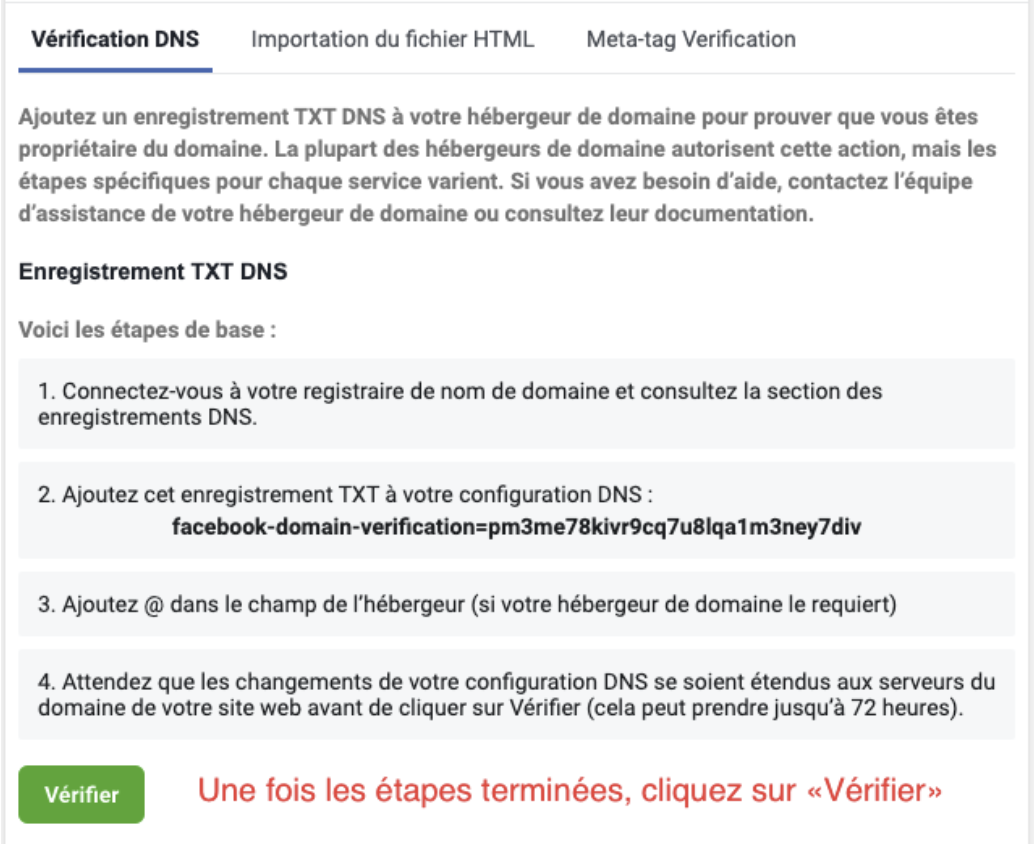 Vérification DNS