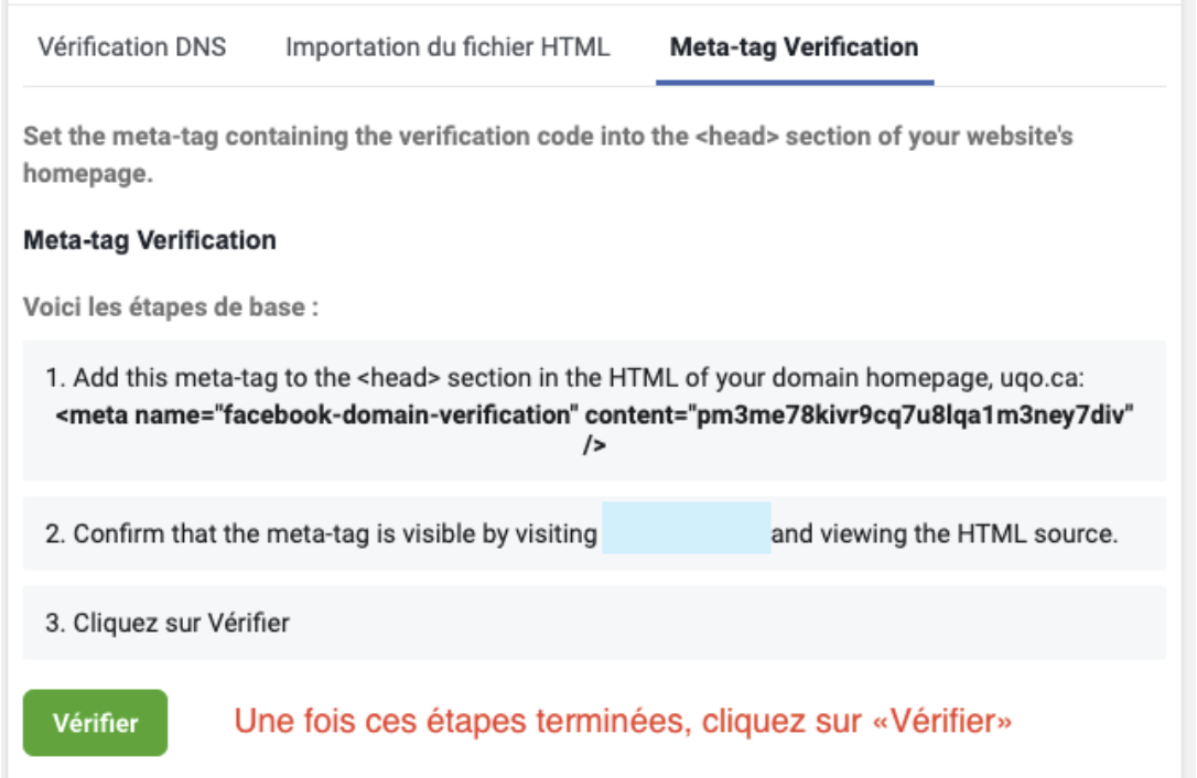 vérification Méta-tags